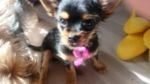 Lulu erste Fotos